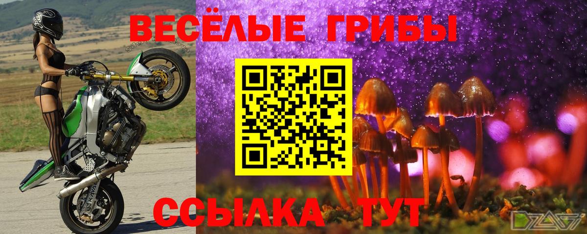 Псилоцибиновые грибы MAGIC MUSHROOMS Новокубанск