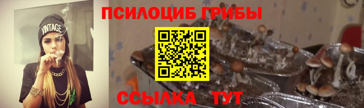 Галлюциногенные грибы Cubensis  Вход с VPN  Новокубанск 